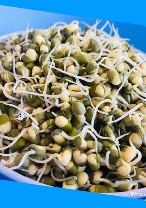 A picture of Whosayna’s Sprouted Beans.