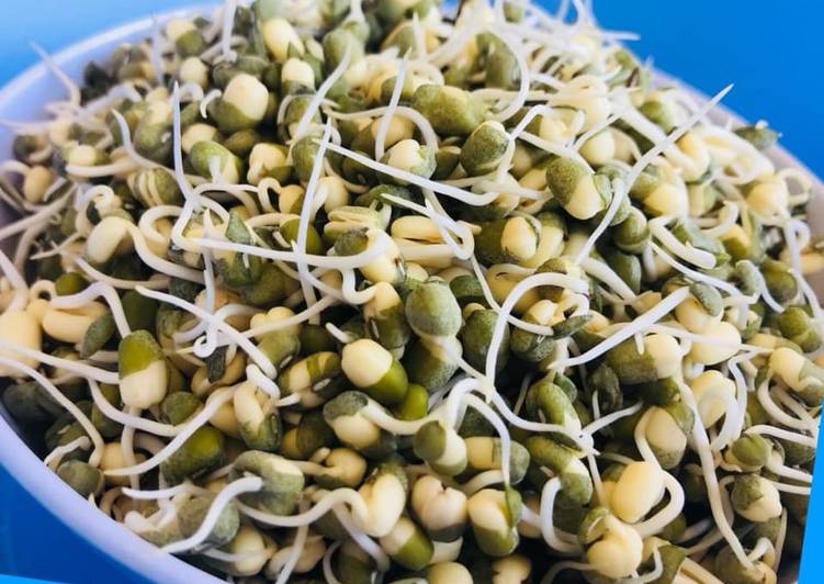 Whosayna’s Sprouted Beans