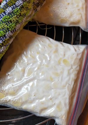 Foto resep Tempe Homemade Negeri 4 Musim