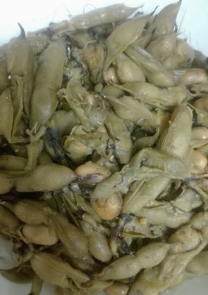 عکسی از دستور سیله یا باقالی بومی