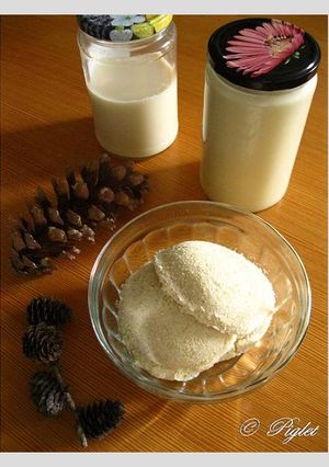 A picture of Homemade Soy Milk & Okara.