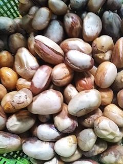 Foto resep Beton (Biji Nangka) Rebus
