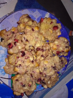 A picture of Cranberry oatmeal cookies.