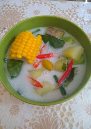 Foto resep Sayur lodeh simpel