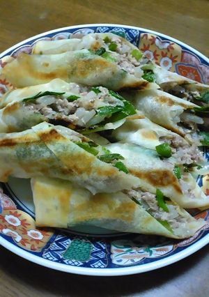 A picture of Easy Hands-Off Grilled Spring Rolls.