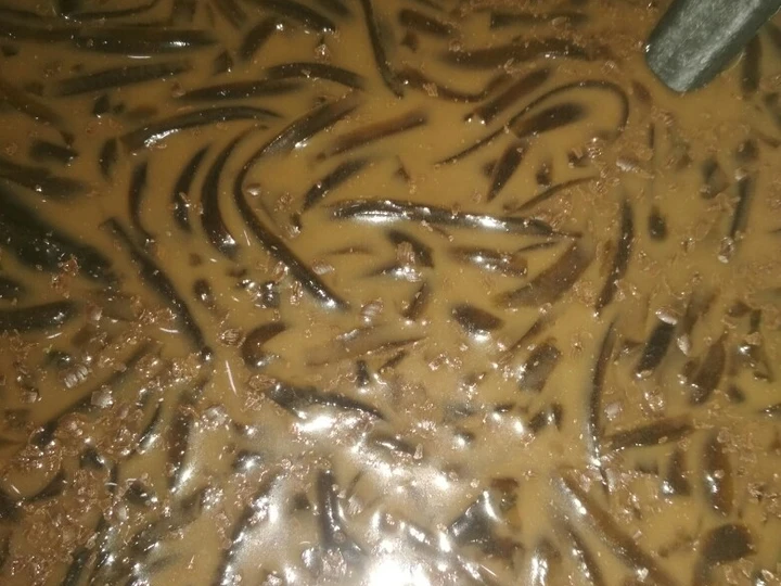 Cara Mudah Menyiapkan Resep Es Cincau Serut Coklat Cappucino yang Enak Banget Anti Ribet, Bikin Ngiler