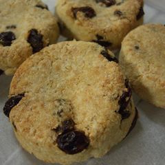 A picture of Okara Cookies with Raisins.