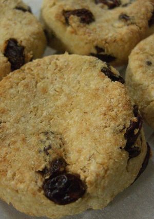 A picture of Okara Cookies with Raisins.