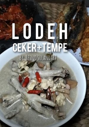 Foto resep 11 >< Lodeh Ceker Tempe