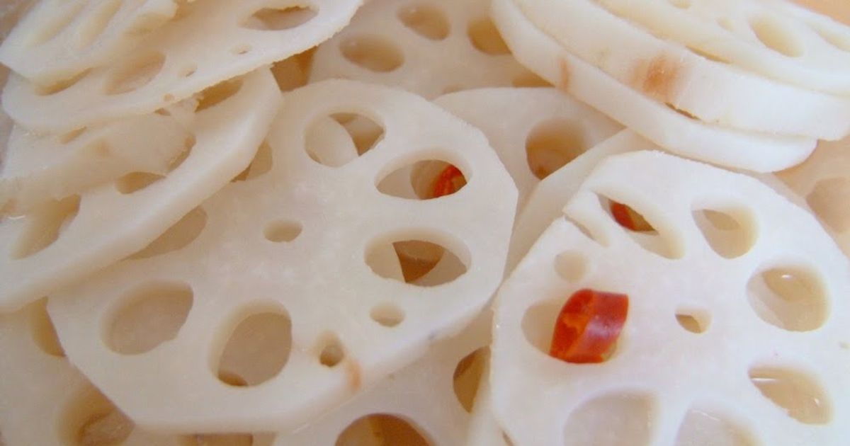 Pickled Roots Super Easy Pickled Lotus Root Recipe By Cookpad.Japan