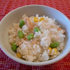 A picture of Salmon rice.