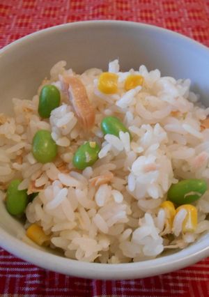 A picture of Salmon rice.