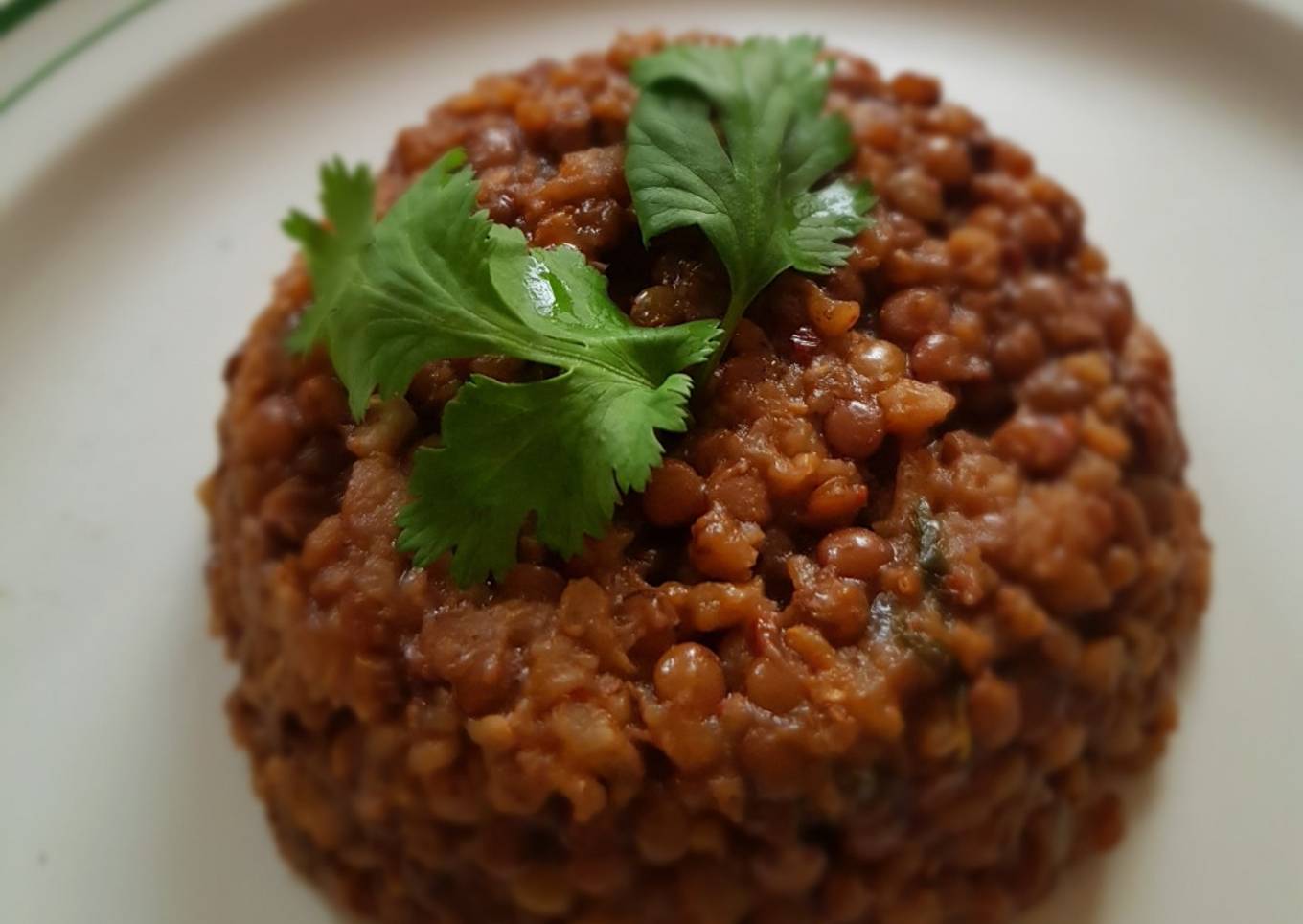 Arroz integral con lentejas y chile ancho