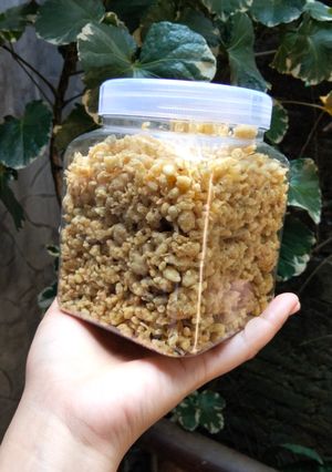 Foto resep Teri Nasi Kriuk