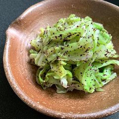 A picture of ‘Yukari’ Cabbage.