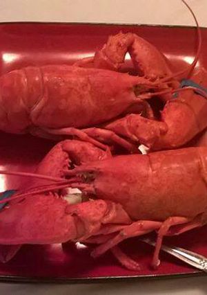 A picture of Steamed lobster Delight.