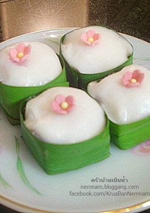 รูปของ ตะโก้ทับทิมสยาม