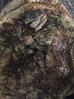 صورة لوصفة مسخن بالدجاج