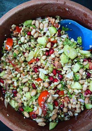 A picture of Evergreen Chaat.