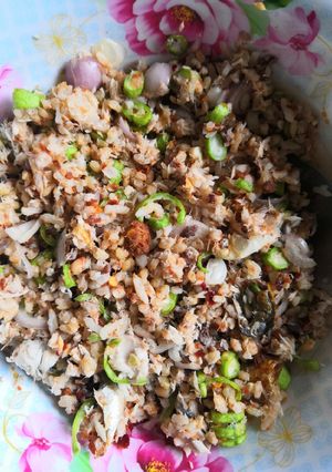 รูปของ ข้าวแมว​ (ข้าวคลุกปลาทู)​