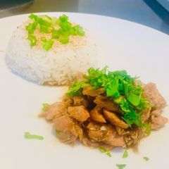 Rice with Salmon filets and Japanese sauce A picture of Rice with Salmon filets and Japanese sauce.