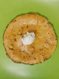 Makke di Roti