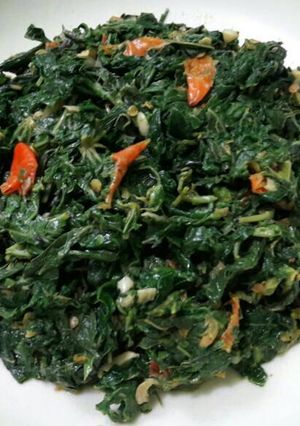 Foto resep Tumis godong telo