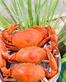 Cua hấp gừng 🦀🦀🦀