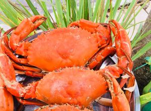 Hình của món Cua hấp gừng 🦀🦀🦀.