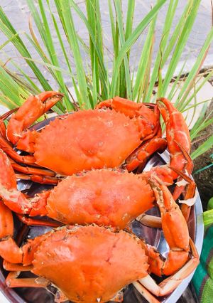 Hình của món Cua hấp gừng 🦀🦀🦀.