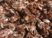 A picture of chex muddy buddies