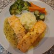 Salmon