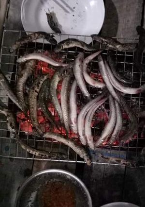 Hình của món Cá kèo nướng muối ớt.