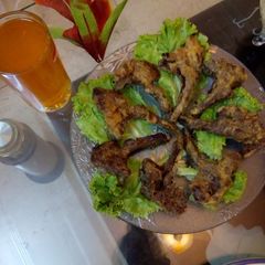 A picture of Fried chops.