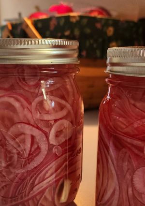 A picture of Easy Pickled Red Onions.
