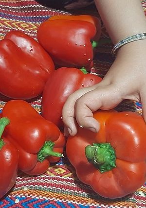 عکسی از دستور پودر پاپریکا