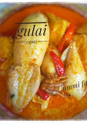 Foto resep Gulai cumi isi tahu telur