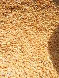 Dried washed beans