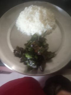 প্রথম পাতে শুকনো ভাতে নিম বেগুন (neem begun recipe in bengali) রেসিপির প্রধান ছবি