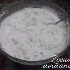 A picture of Jajeek or Arabic Yoghurt Salad.