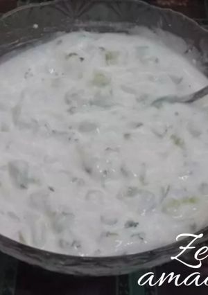 A picture of Jajeek or Arabic Yoghurt Salad.