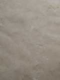 Biscuit Dough