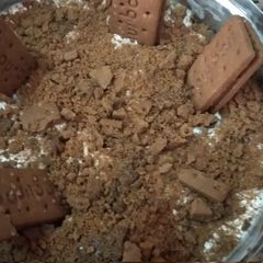 A picture of Biscuit ice cream cake.