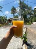 Jus Anggur Pear Jeruk Madu (Slow Juicer)