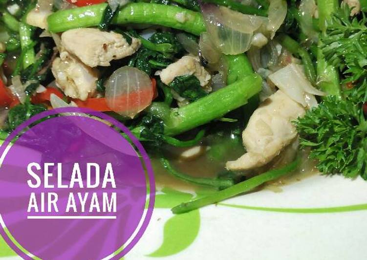 Selada Air Ayam