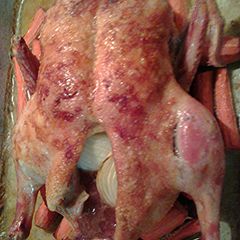 A picture of Roasted Duck on a bed of carrots.