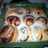 Bread Machine Cinnamon Rolls