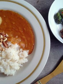 A picture of Tomato Curry.
