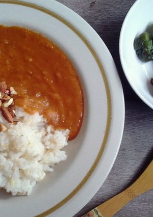 A picture of Tomato Curry.