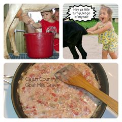 A picture of Cajun Country Goat Milk Gravy.